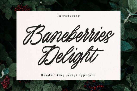 Baneberries Delight: A Premium Script Typeface for Web Design