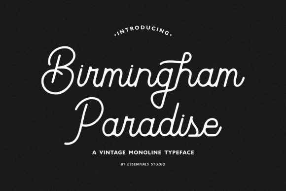 Birmingham Paradise: A Vintage Script Font for Web Design