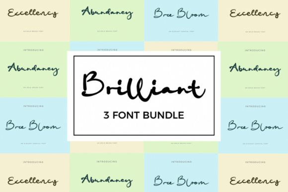 Brilliant Bundle: The Perfect Script Handwritten Fonts for Makers