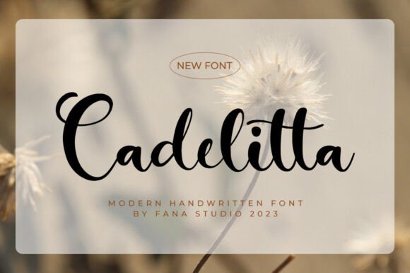 Cadelitta: A Premium Script Font for Digital Design