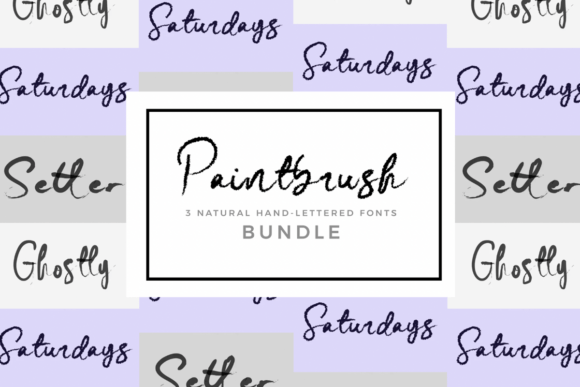 Paintbrush Bundle: Authentic Script Fonts for Web Design