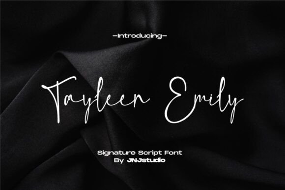 Tayleen Emily: The Elegant Script Font for Your Brand